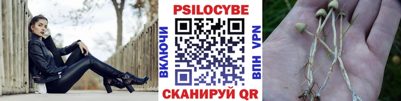 Галлюциногенные грибы Psilocybe  Дедовск 